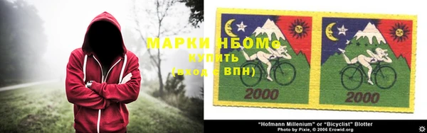 индика Железногорск-Илимский