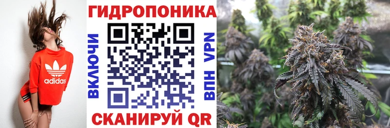 МАРИХУАНА ГИДРОПОН магазин продажи блэк спрут Няндома